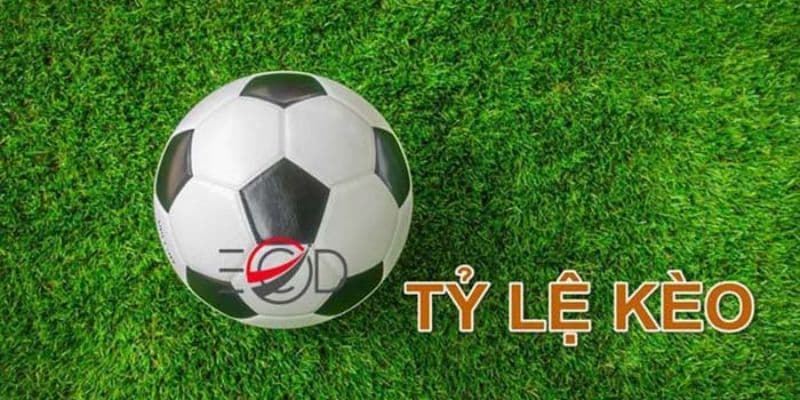 Khái niệm về tỷ lệ kèo trong thể thao